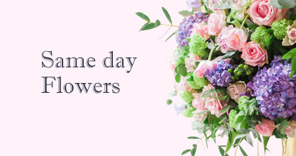 Same day Flowers Bromley